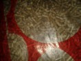 /album/fenykepgaleria/a20130224-100711-jpg/